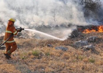 Se registraron 27.000 hectáreas quemadas hasta septiembre