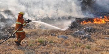 Se registraron 27.000 hectáreas quemadas hasta septiembre