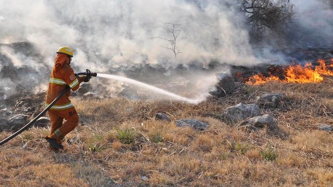 Se registraron 27.000 hectáreas quemadas hasta septiembre