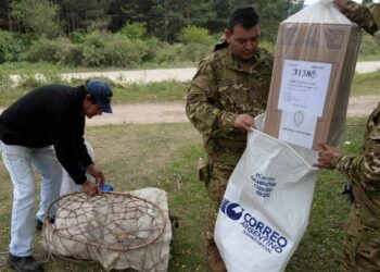 Despliegan más de 86.000 efectivos en todo el país para garantizar seguridad en el ballottage