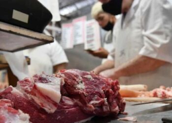 Cayó un 14% el volumen de exportación de carne vacuna