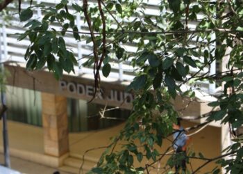 La Cámara Contencioso Administrativa dio luz verde a la acción colectiva por el ambiente en Villa Belgrano