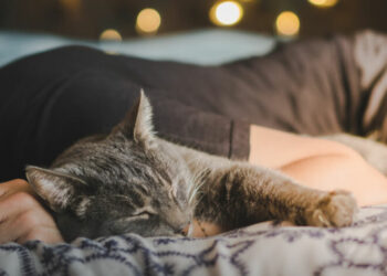 Los beneficios y riesgos de dormir con un gato