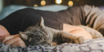 Los beneficios y riesgos de dormir con un gato