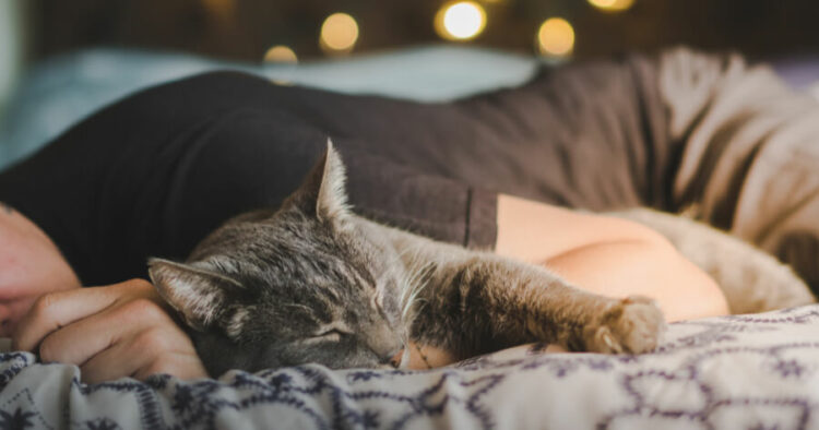 Los beneficios y riesgos de dormir con un gato