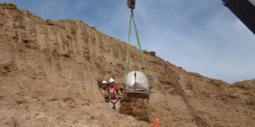 Descubren una nueva especie de gliptodonte que habitó en Argentina hace dos millones de años