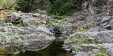 Relaciones dañinas hacia los ecosistemas: un proyecto de ley que preocupa