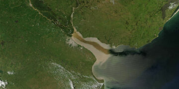 A medio siglo del Tratado del Río de la Plata