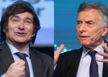 Dura interna por la dolarización en La Libertad Avanza