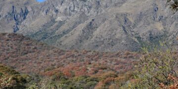 Córdoba aprobó la creación de dos nuevas áreas protegidas: cómo disfrutarlas y dónde quedan