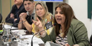 El oficialismo defendió los cambios en el Tribunal de Cuentas provincial