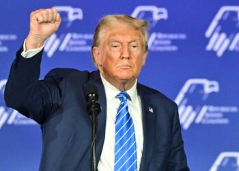 Trump, Bolsonaro y el líder de Vox felicitaron a Milei por su triunfo