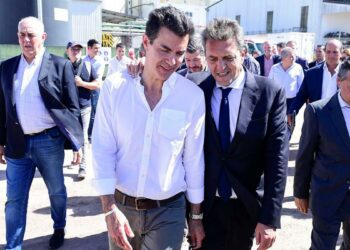 Urtubey, Camaño y un sector de la UCR apoyaron a Massa