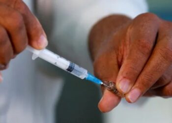 Anuncian que la vacuna contra el dengue ya se encuentra disponible en la Argentina