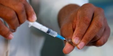 Anuncian que la vacuna contra el dengue ya se encuentra disponible en la Argentina