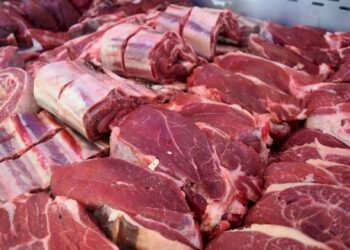 Aumentos desenfrenados en el precio de la carne generan alarma y escasez en carnicerías