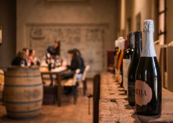 Ruta del vino en Córdoba: las bodegas que se extienden a lo largo de la provincia