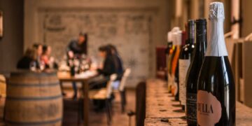 Ruta del vino en Córdoba: las bodegas que se extienden a lo largo de la provincia