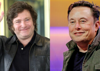 La reacción de Elon Musk a las medidas de ajuste de Milei