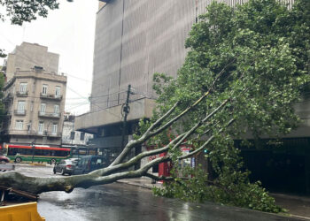 Acompañado de cuatro ministros, Milei llegó a Bahía Blanca para monitorear la situación