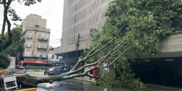 Acompañado de cuatro ministros, Milei llegó a Bahía Blanca para monitorear la situación