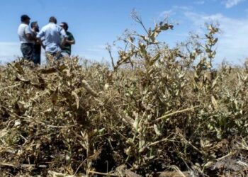 Pronostican que el PIB habrá caído un 2% en 2023, aunque con marcada disparidad sectorial