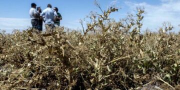 Pronostican que el PIB habrá caído un 2% en 2023, aunque con marcada disparidad sectorial