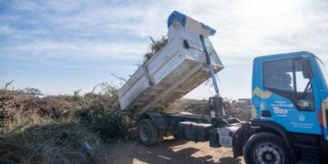 El Municipio destacó que en 2023 se recuperó más de 13 mil toneladas de restos verdes que antes se enterraban