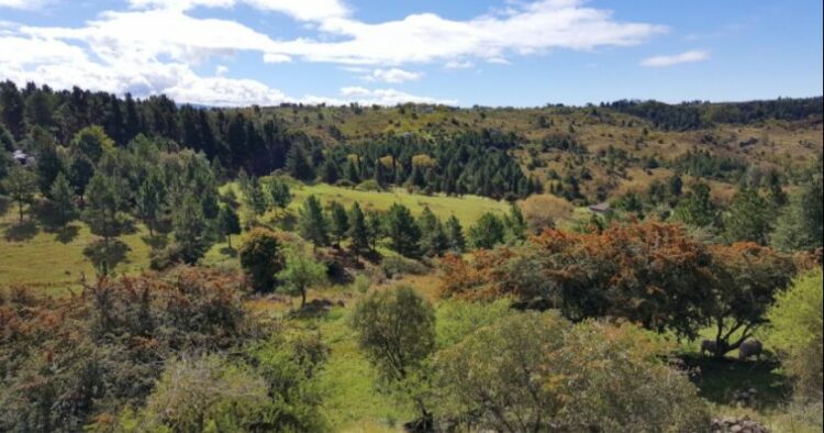 La Justicia admitió el amparo ambiental de vecinos de El Durazno contra una obra de agua potable