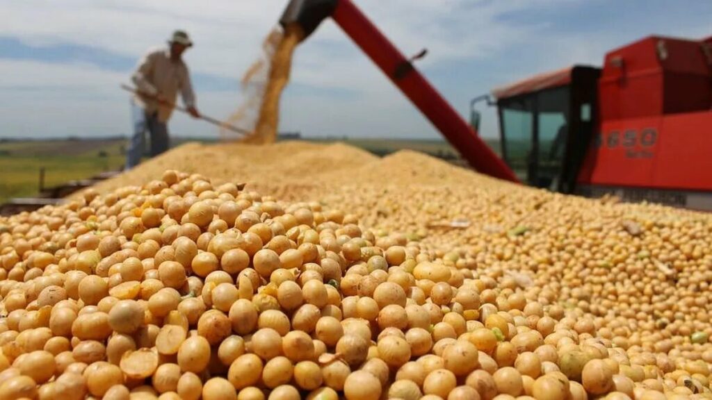 Cierran inesperadamente el registro de exportaciones de granos