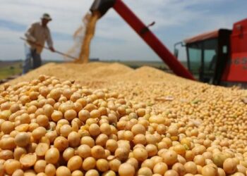 Cierran inesperadamente el registro de exportaciones de granos