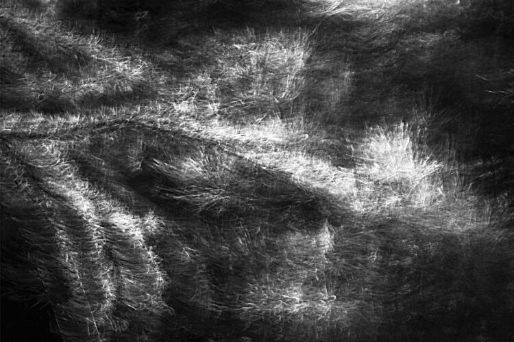 Pieza de “Piasajes de la impermanencia” de la artista unquillense Magalí Ibars.