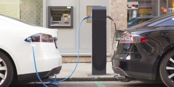 El basurero de autos que el mundo no va a querer