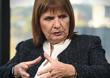 Bullrich dijo que el objetivo de los paros y manifestaciones es «voltear» al gobierno