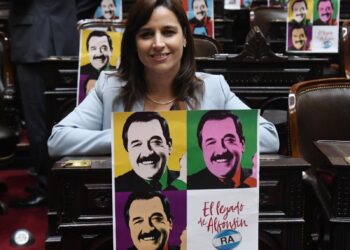 Desde la UCR prometen colaborar con la gestión del presidente Milei