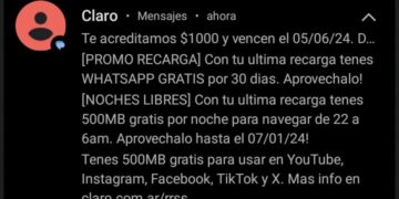 Quisieron estafarla por Whatsapp, pero terminó logrando que el ladrón le cargue saldo en su celular