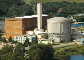 Detectaron alta contaminación radiactiva en peces de Embalse