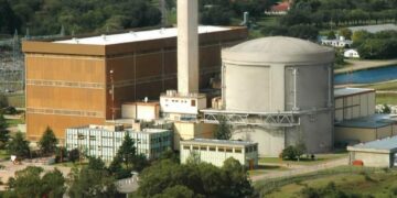 Detectaron alta contaminación radiactiva en peces de Embalse