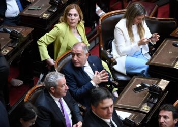 Para Juez, el DNU de Milei no sortearía el filtro del Congreso