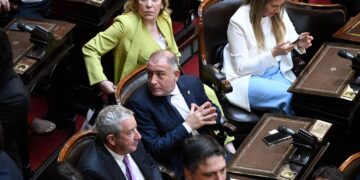 Para Juez, el DNU de Milei no sortearía el filtro del Congreso