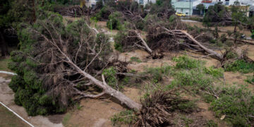 El Conicet analizó el fenómeno climático y sus consecuencias