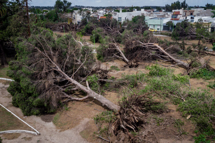 El Conicet analizó el fenómeno climático y sus consecuencias