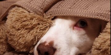 Menos ruido y más unión