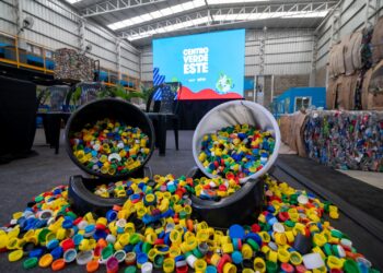 Este año la ciudad recicló más de 59.000 toneladas de residuos