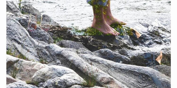 Vejez: la contemplación como atributo