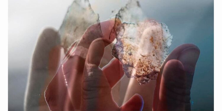 Vejez: la contemplación como atributo