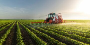 El clima, un gran aliado de la producción agrícola