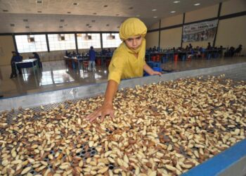 Brasil autoriza por primera vez el ingreso de almendras argentinas a su mercado