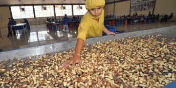 Brasil autoriza por primera vez el ingreso de almendras argentinas a su mercado