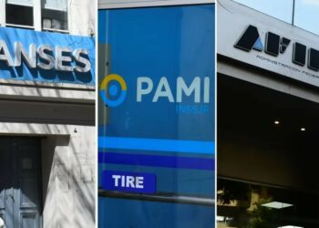 Pami, Anses y Afip continúan sin sus autoridades asignadas